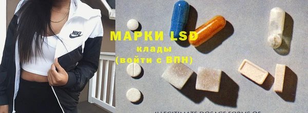 дживик Абинск