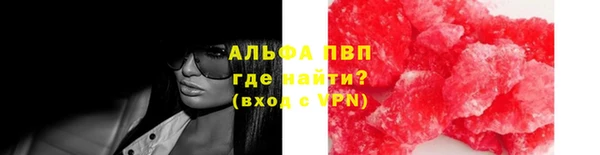 прущие крисы Абаза