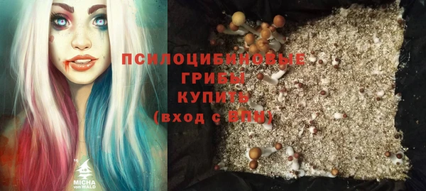 мяу мяу мука Алексин